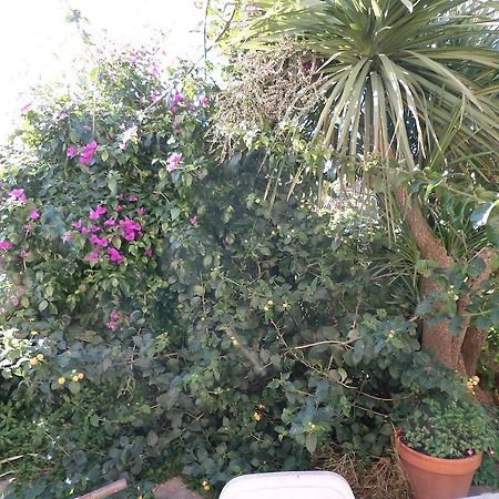 B&B Villino Lory Marino Exterior foto