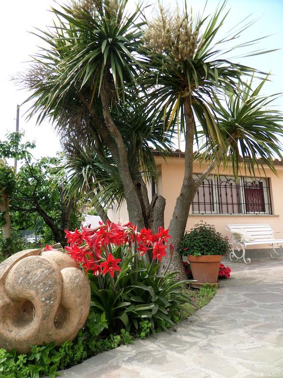 B&B Villino Lory Marino Quarto foto